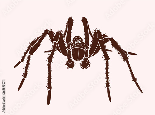 Graphical tarantula spider, vector vintage illustration