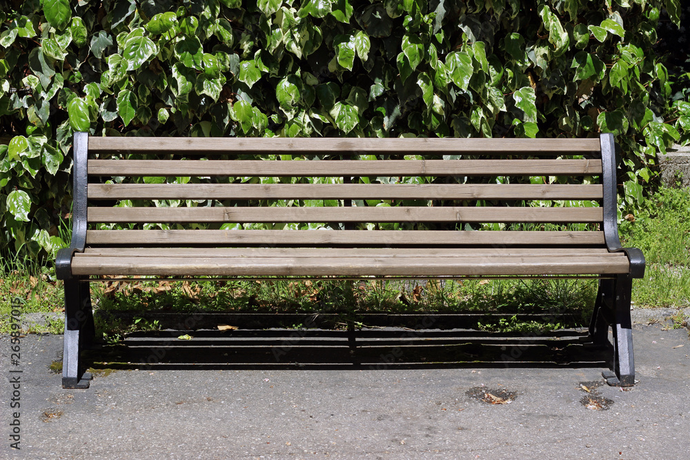 Empty park bench green leaves grass background summer Italy