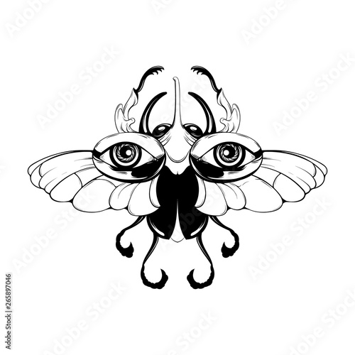 Vector hand drawn illustration of beetle with wings isolated.