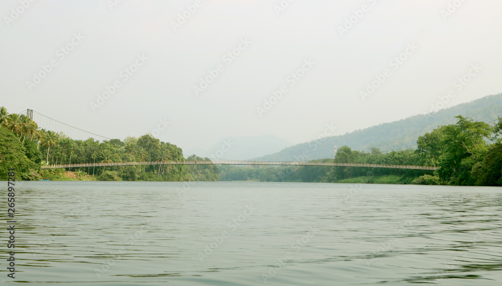 lake, hanging bridge and forest