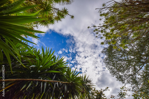 fauna at the azores island