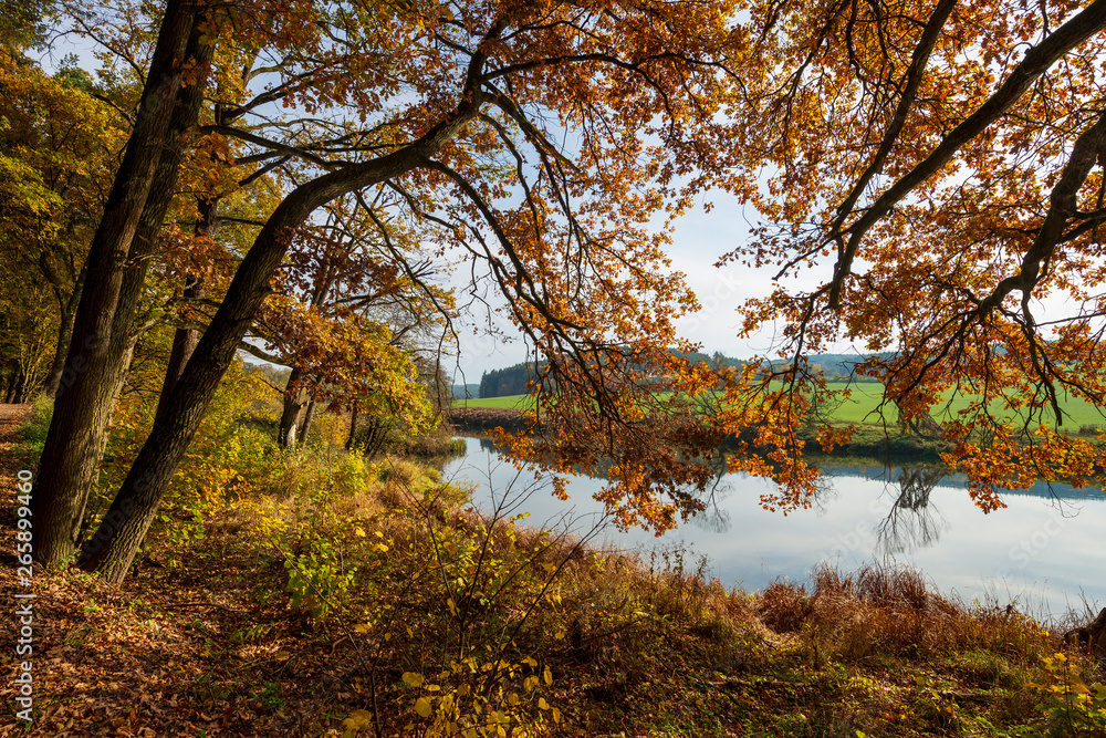 Germany, Bavaria, Roding, Regen river on the Regentalhaenge Germany, Bavaria, Roding, Regen river on the Regentalhaenge
