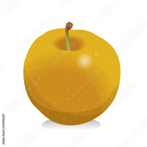 Pear illustration, fruits, food, autumn image, autumn fruits, vector data