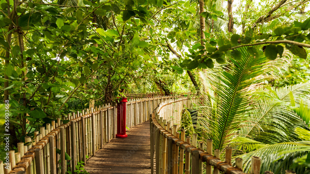 wooden bridge in the jungle wooden bridge in the jungle