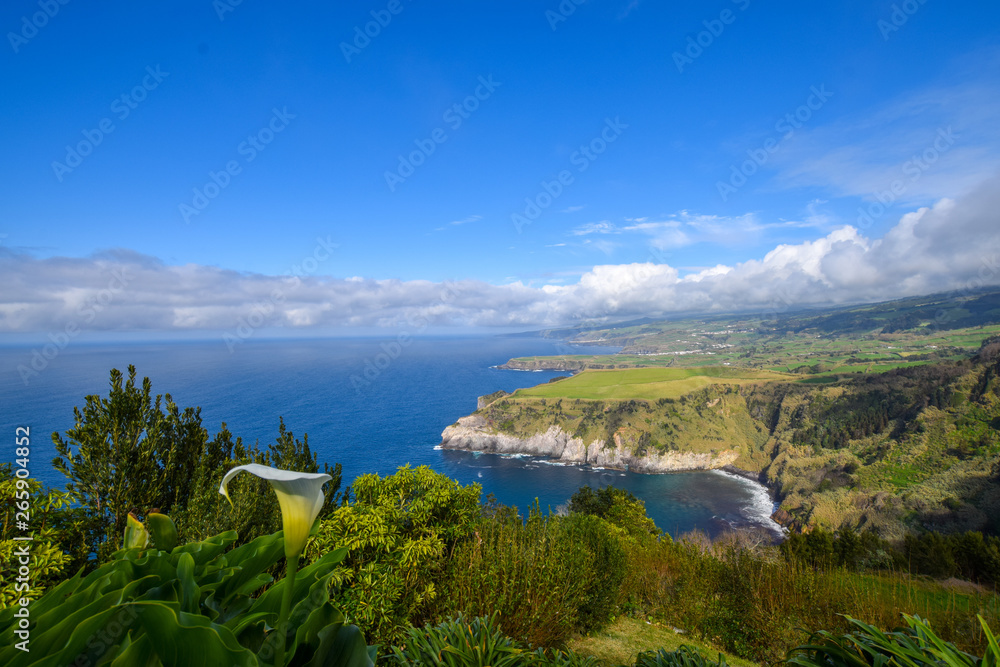 natural scenery at the azores island