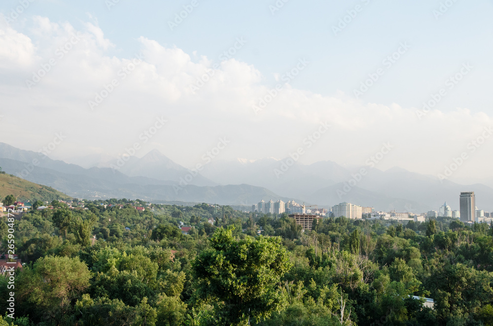 Almaty city in summer. Among the green trees are visible tall buildings and urban buildings. On the background are visible high peaks of the mountains. View from bird flight.