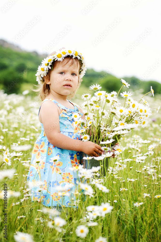 toddler girl in a daisy field toddler girl in a daisy field