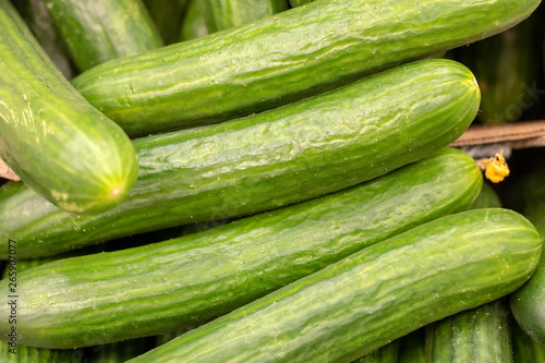 Green cucumbers on shelf in supermarket. Organic eating. Agriculture retailer. Farmer's food.