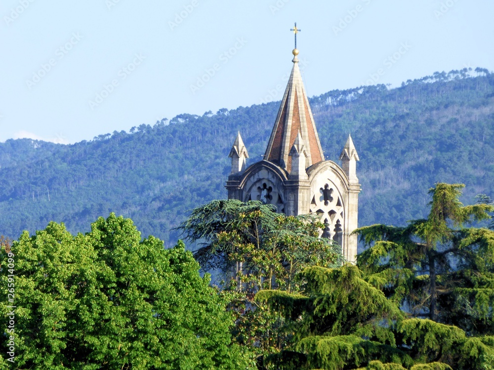A cathedrak spire in Italy with trees in the foreground and mountains in the background