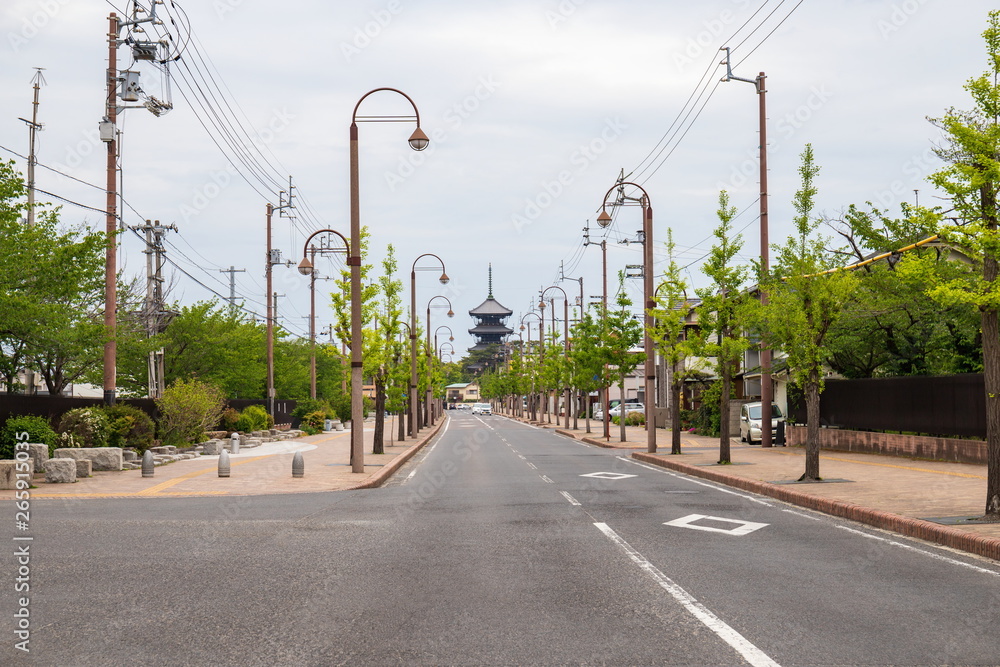 Street with ginkgo trees and pagoda at zentsuji city ,Shikoku,Japan