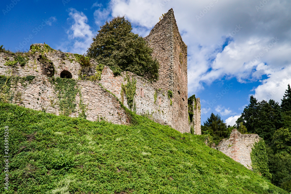 Historic castle ruin