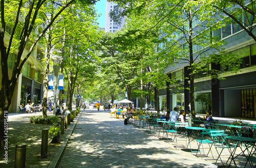 東京有楽町の新緑のビジネス街