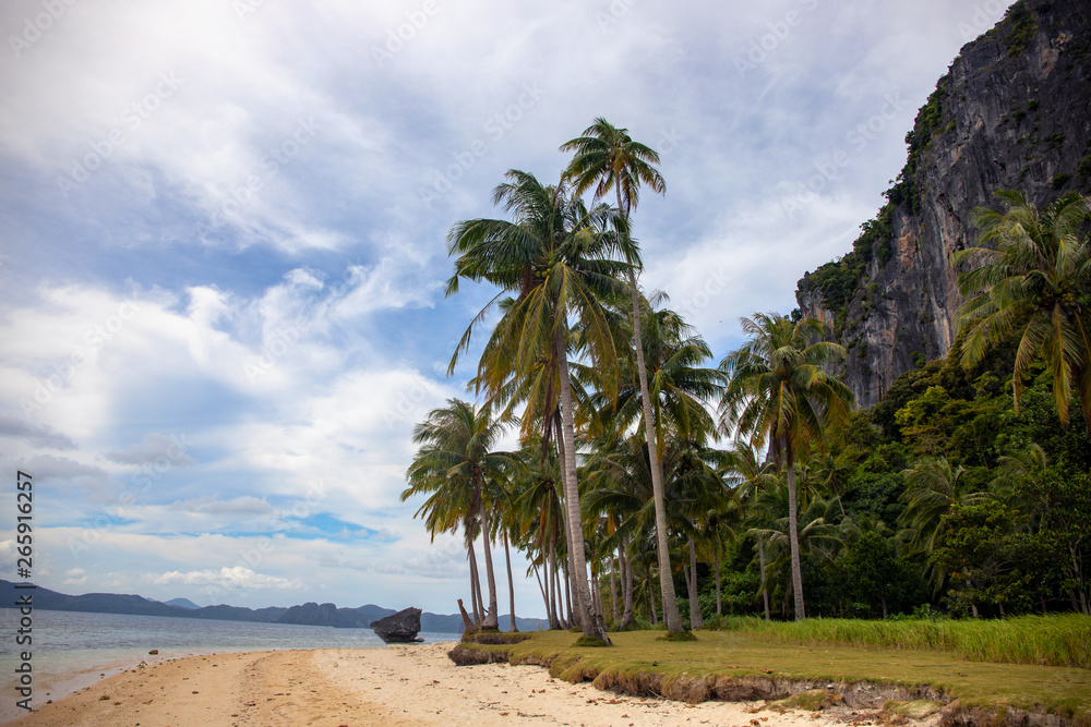 Coco palm tree on tropical beach landscape. Idyllic seaside landscape with green palms. Relaxing view of exotic island Coco palm tree on tropical beach landscape. Idyllic seaside landscape with green palms. Relaxing view of exotic island
