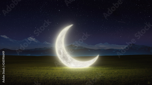 Canvastavla Fantasy Moon in Grassy Field