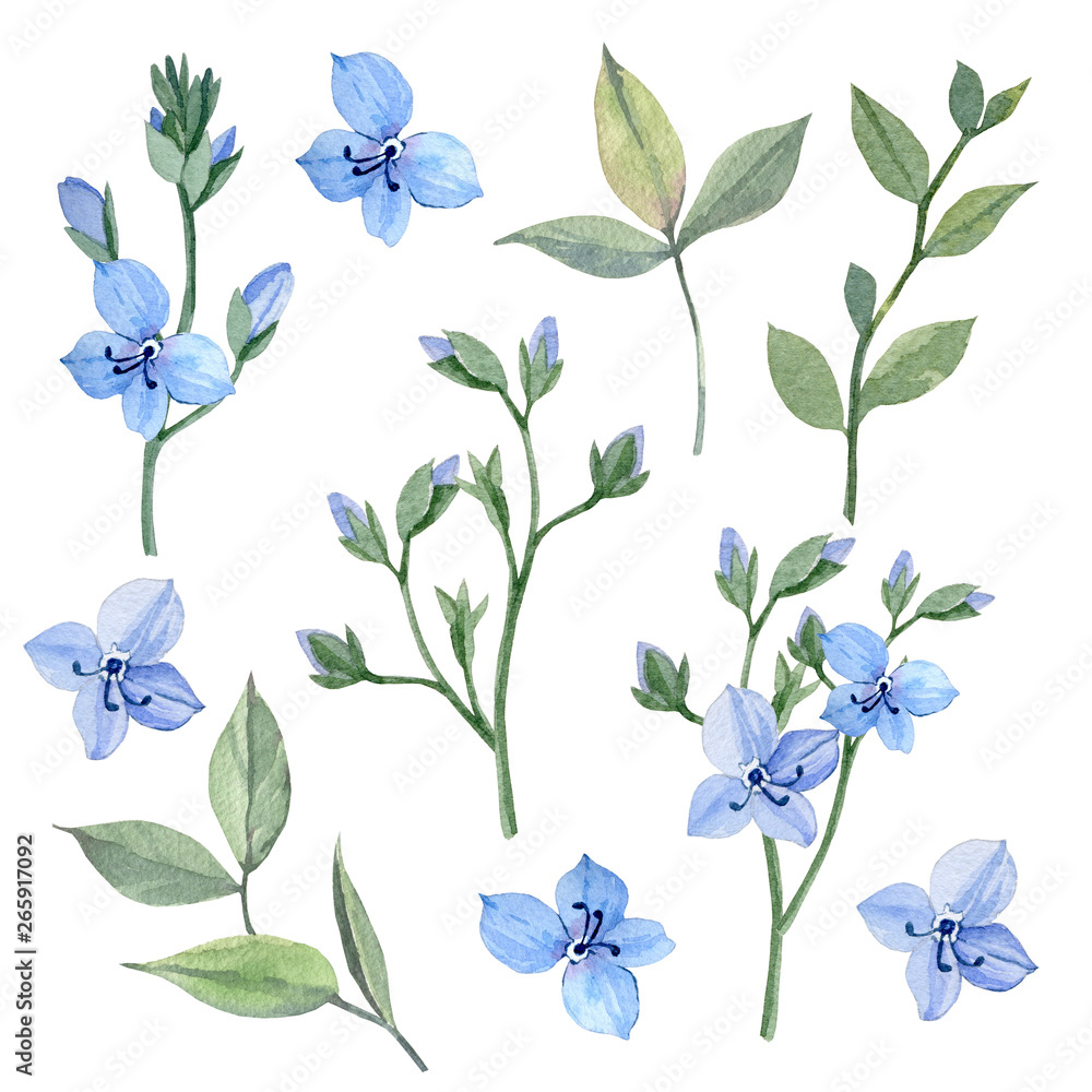 Obraz premium Hand drawn watercolor illustration. Botanical clipart with leaves branches and leaves. Greenery. Floral Design elements. Perfect for wedding invitations, cards, prints, posters, packing