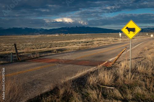 Yellow cattle crossing sign and cattle guard across rural road photo