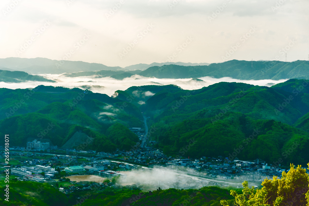 兵庫県佐用町・初夏の朝霧の景観