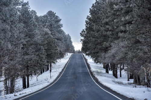 road in a winter landscape 