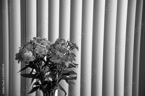 black and white living room scene