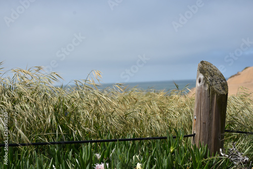 seaside trail and fence post