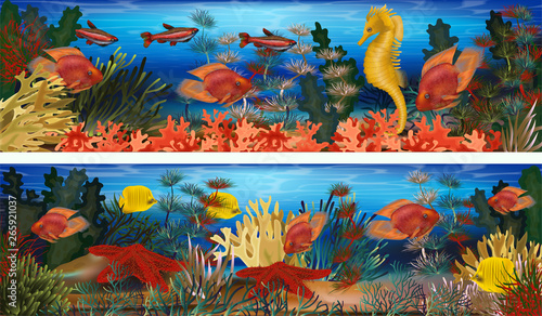 Underwater horizontal banners with seahorse  algae and tropical fish  vector illustration