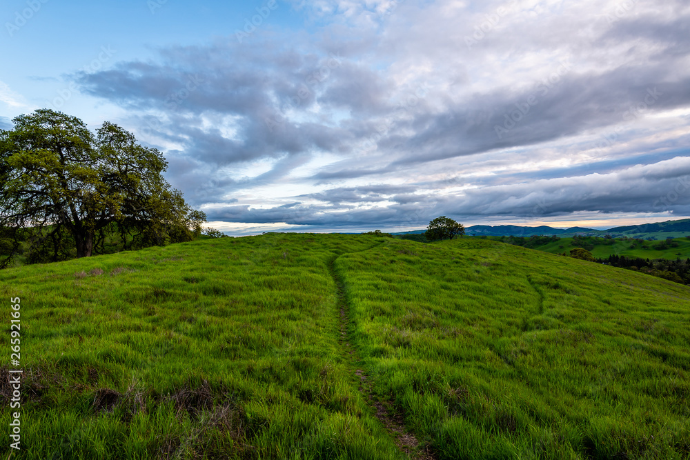 Obraz premium Mount Diablo State Park