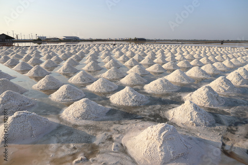 Sea salt in salt farm ready for harvest at Ban Laem  Phetchaburi Province  Thailand