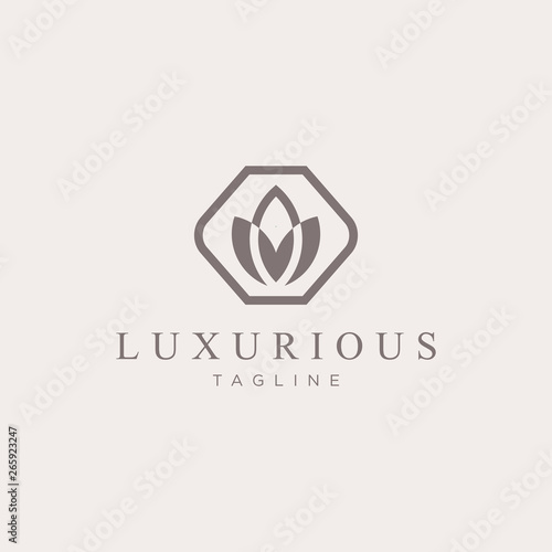 Luxurious Logo - Vector logo template