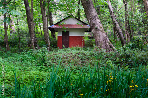 Forest red small rest house © Kumod