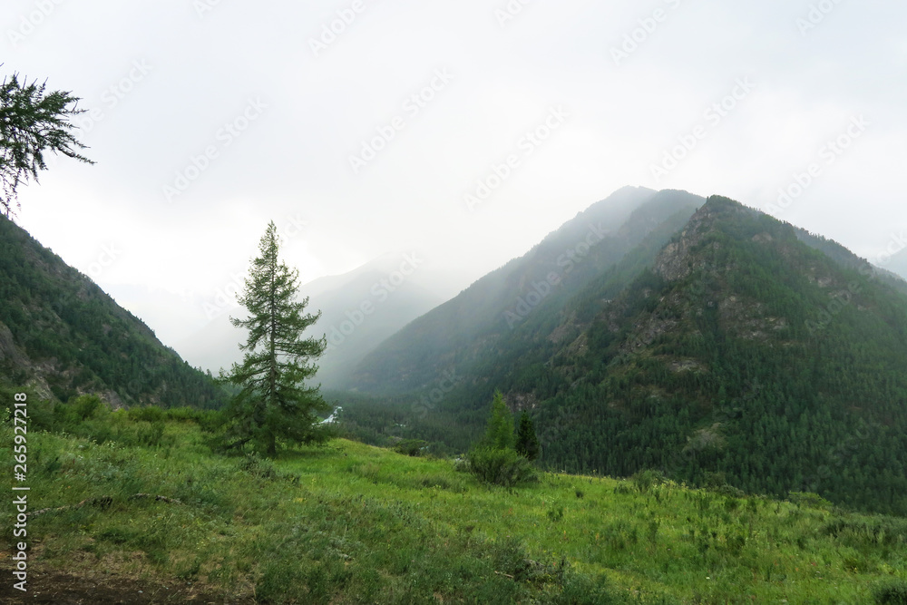 Misty mountains and river scenic view. Altai Mountains, Russia
