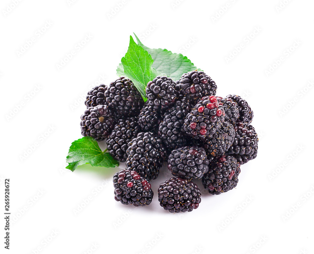 Ripe blackberry isolated on white background with clipping path Ripe blackberry isolated on white background with clipping path