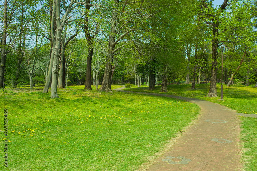 Garden path