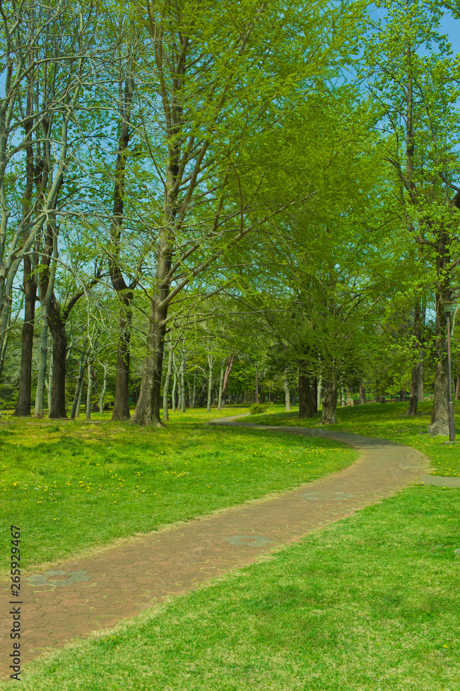 Garden path