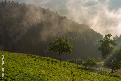 Scenic summer mountain landscape at sunrise with misty. View on the Black Forest in Germany. Foggy early morning over a summer green forest. Colorful dreamy travel background.