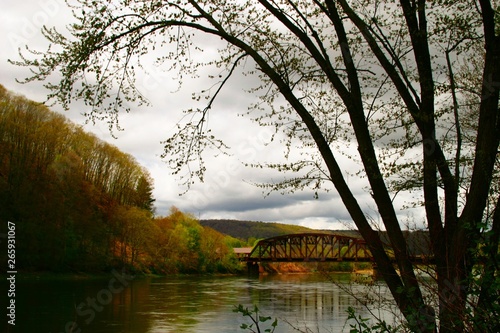 Fototapeta Naklejka Na Ścianę i Meble -  Bridge 