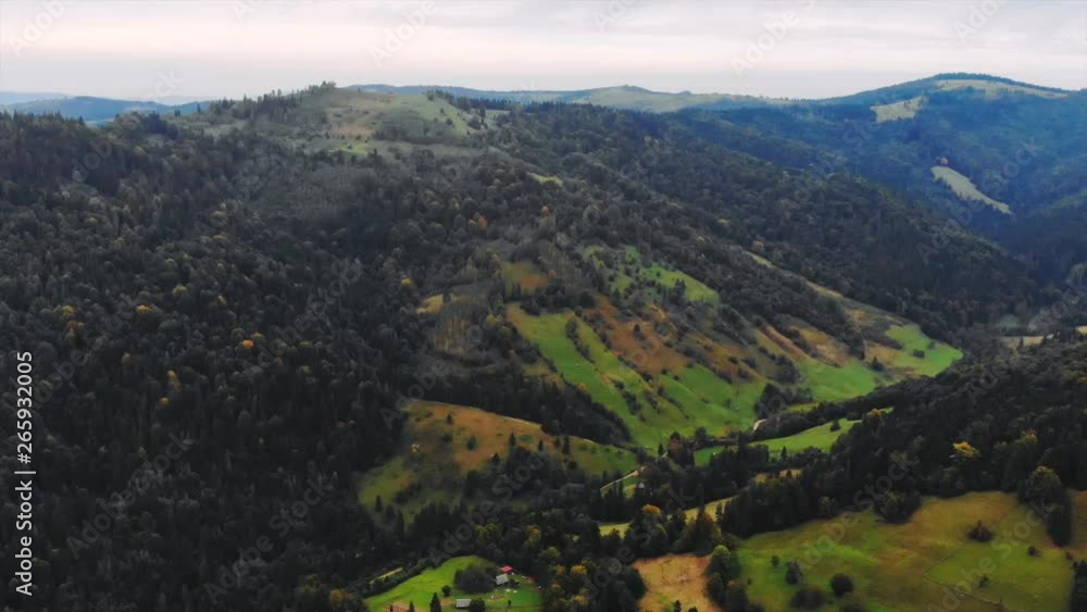 Summer and landscape concept - drone shot of aerial view to green forest in the mountains Summer and landscape concept - drone shot of aerial view to green forest in the mountains