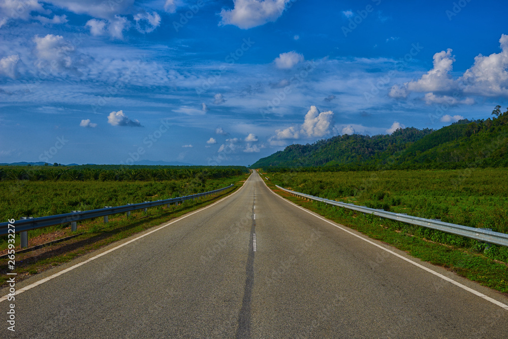 Fototapeta premium Empty highway leading to the Cameron Highlands, Malaysia. Spectacular view of the hilly terrain in a blue haze and lush tropical rainforest. Asphalt road and beautiful mountain under the blue sky.