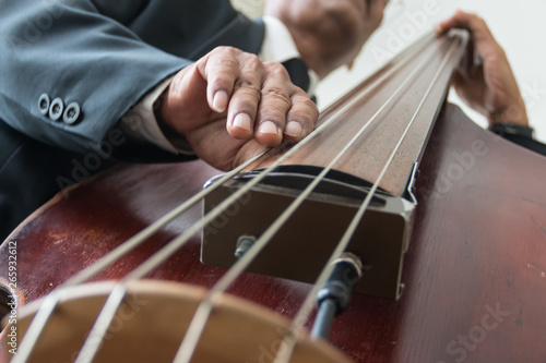 Photography musician playing double bass.
