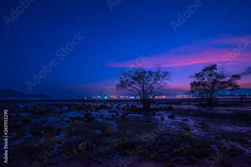 Sunset at the Seaside with a Tree Silhouette on a Colorful Sky. © Sthapana S.