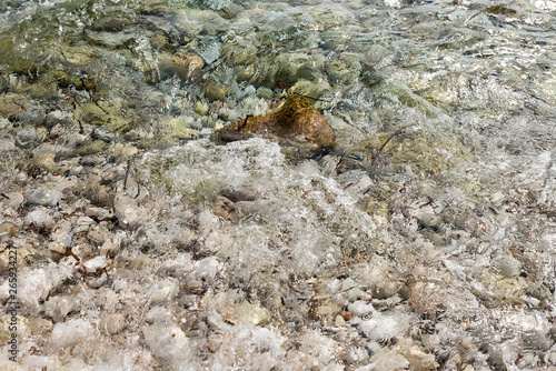 shore with stones