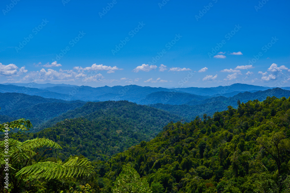 Hilly landscape in a blue haze to the horizon. Spectacular view a cloudy sky and lush tropical rainforest Cameron Highlands, Malaysia. Concept of travel and holiday. The concept of ecological tourism