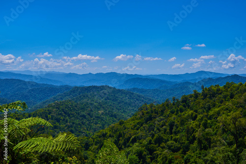 Hilly landscape in a blue haze to the horizon. Spectacular view a cloudy sky and lush tropical rainforest Cameron Highlands, Malaysia. Concept of travel and holiday. The concept of ecological tourism © eskstock