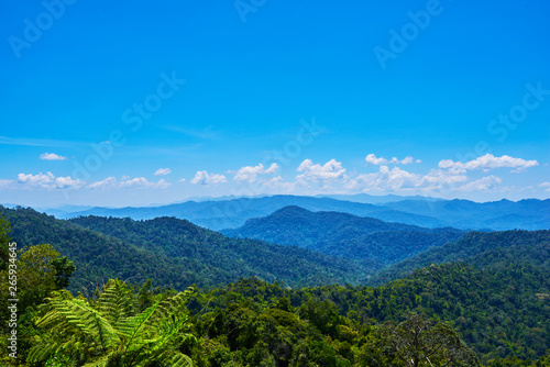Hilly landscape in a blue haze to the horizon. Spectacular view a cloudy sky and lush tropical rainforest Cameron Highlands, Malaysia. Concept of travel and holiday.