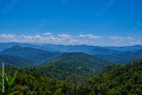 Hilly landscape in a blue haze to the horizon. Spectacular view a cloudy sky and lush tropical rainforest Cameron Highlands  Malaysia. Concept of travel and holiday.