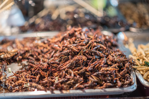 Fried insects on the streets.