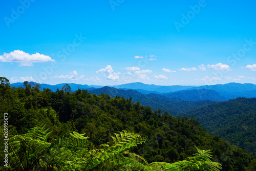 Hilly landscape in a blue haze to the horizon. Spectacular view a cloudy sky and lush tropical rainforest Cameron Highlands  Malaysia. Concept of travel and holiday. The concept of ecological tourism