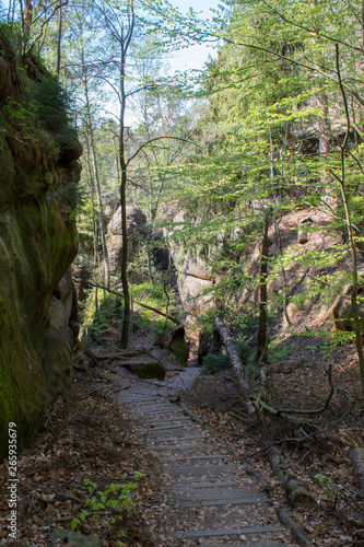 Rocky climb on a green path in spring in the sandstone Elbe Mountains in beautiful Saxon Switzerland near Bohemian Switzerland in Germany