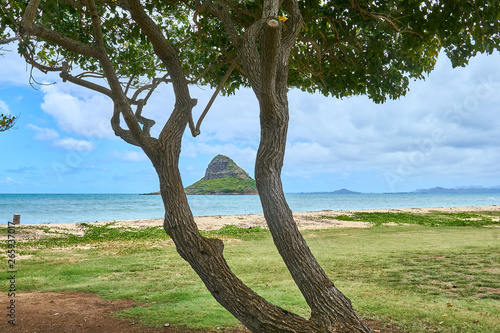 The Chinaman's Hat island seen between the split trunk of a tree at a beach park near the Kualoa Beach Regional Park at O'ahu, Hawaii.