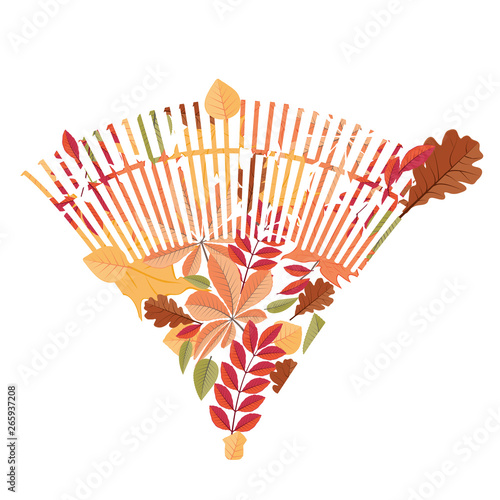 Raker with fallen leaves