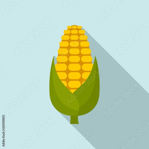 Natural maize icon. Flat illustration of natural maize vector icon for web design